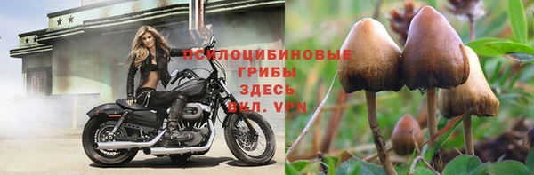 стафф Бородино