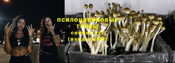 стафф Бородино