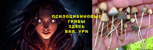 стафф Бородино