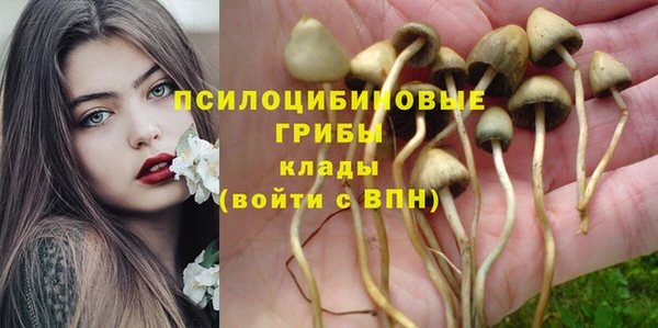 стафф Бородино