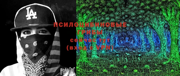 стафф Богородицк