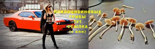 герыч Бугульма