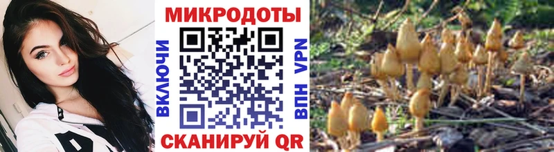 Купить  Красноармейск  Галлюциногенные грибы Cubensis 